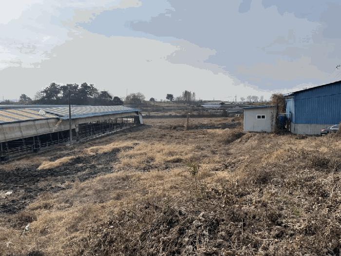 2025타경31971 법원경매 사진3 | 전북 김제시 전답 경매