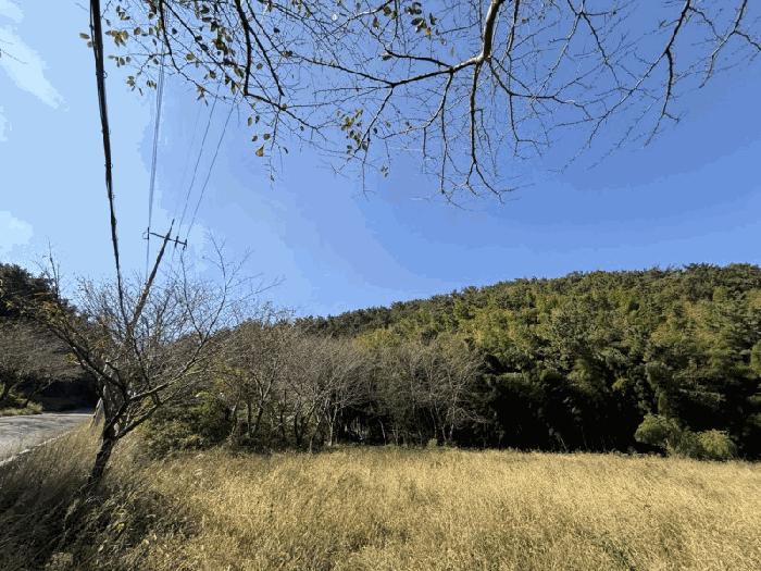 경상남도 거제시 장목면 율천리 산112 법원경매 물건 대표사진