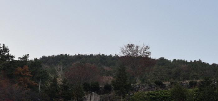 2025타경22175 법원경매 사진10 | 경남 고성군 임야 경매
