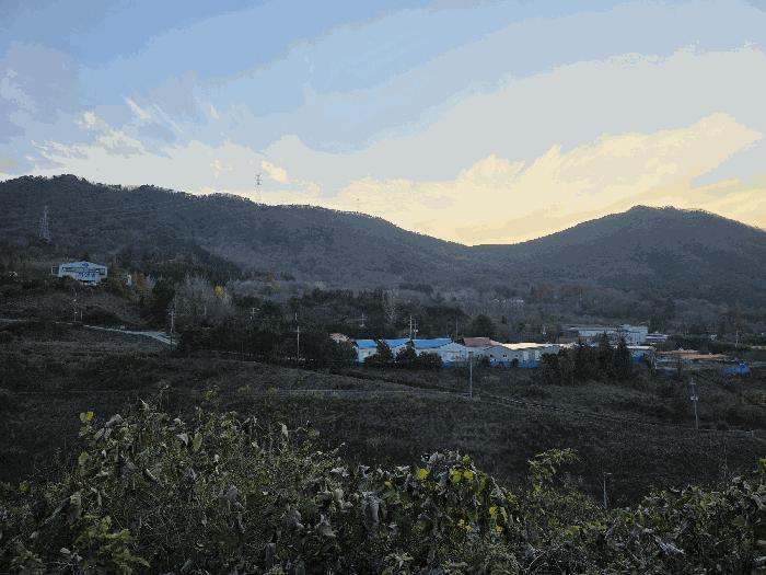 2025타경22175 법원경매 사진3 | 경남 고성군 임야 경매