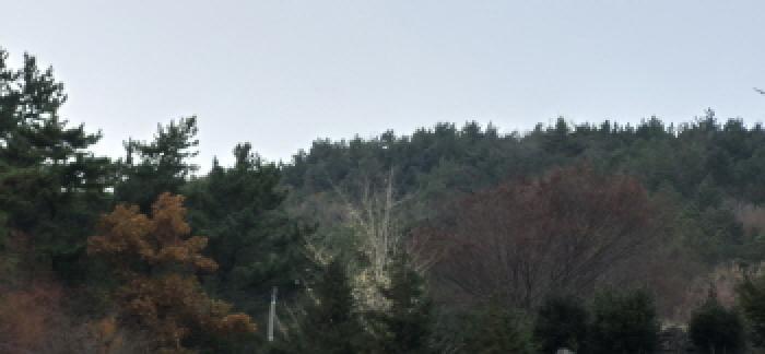 2025타경22175 법원경매 사진9 | 경남 고성군 임야 경매