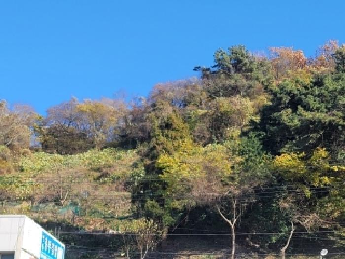 법원경매 2025타경22206 사진5 | 통영시 산양읍 삼덕리 391-1 전 경매