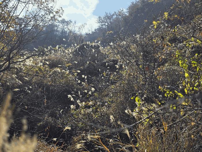 경상남도 통영시 한산면 용호리 960 법원경매 물건 대표사진
