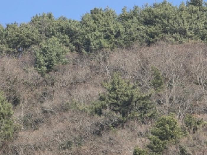 2025타경22214 법원경매 사진5 | 경남 통영시 답 경매