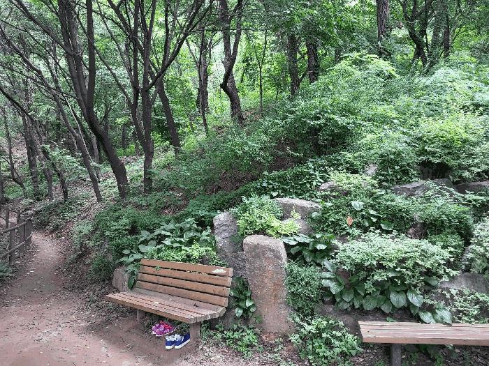 서울특별시 은평구 응암동 산6-53 법원경매 물건 대표사진