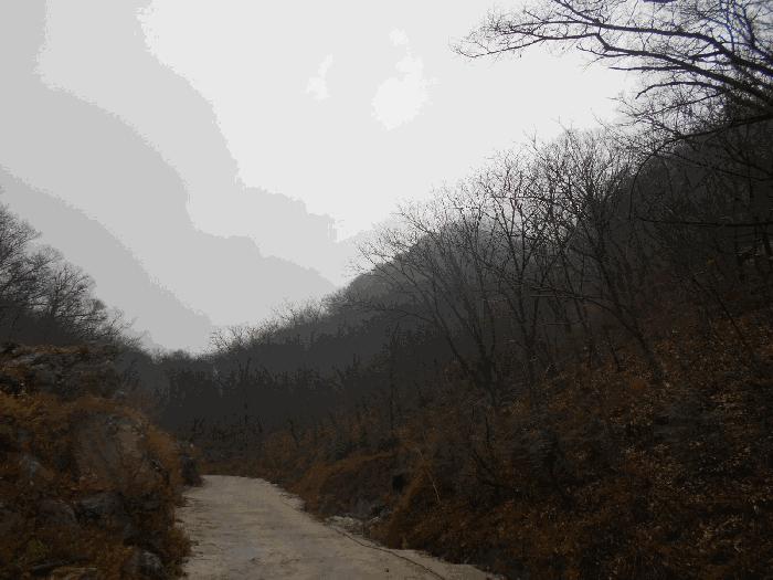 경기 가평군 청평면 호명리 산114-2 임야 사진 2
