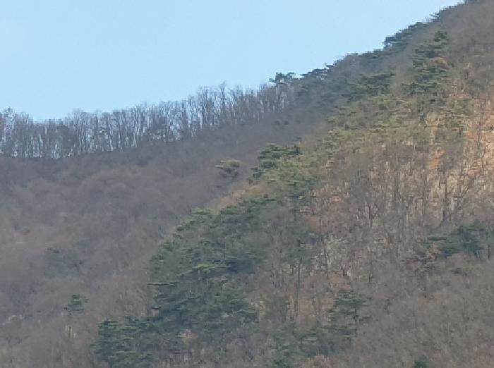2025타경72661 법원경매 사진7 | 경기 가평군 임야 경매