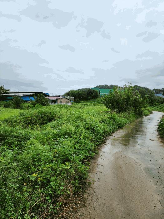 충북 청주시 청원구 북이면 장양리 391 전 경매 물건 사진