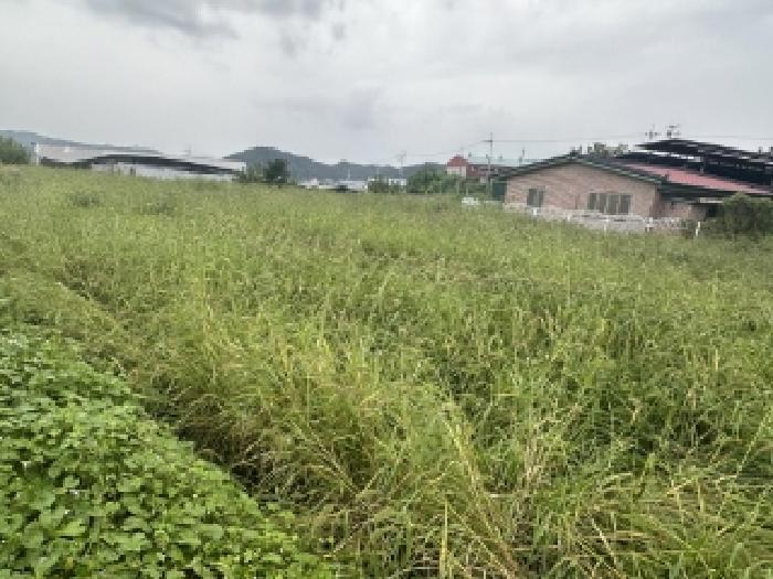 충북 청주시 청원구 북이면 장양리 391 전 사진 5