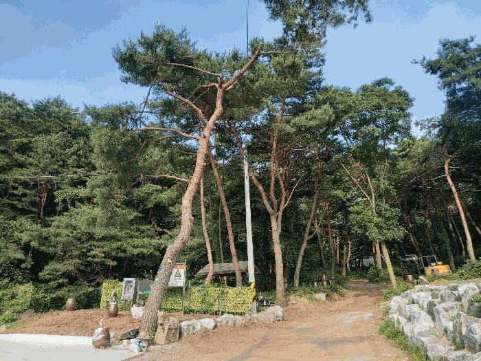 2025타경15814 법원경매 사진15 | 충남 홍성군 주택건물 경매