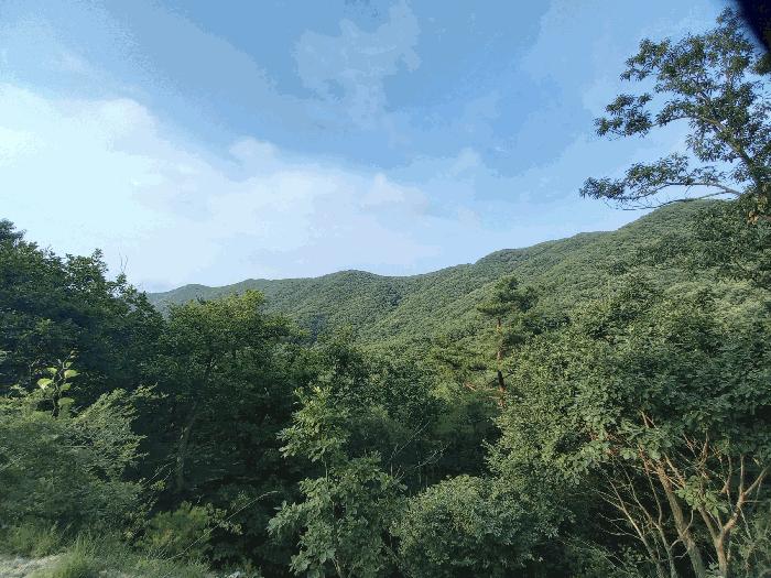 2025타경15814 법원경매 사진3 | 충남 홍성군 주택건물 경매