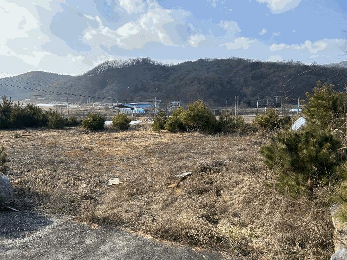 법원경매 2025타경4069 사진4 | 세종 장군면 태산리 188-28 임야 경매