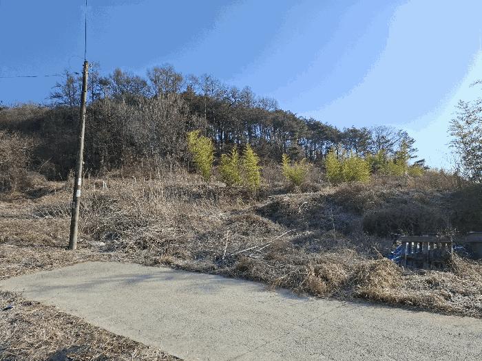 2025타경504173 법원경매 사진7 | 충남 금산군 임야 경매