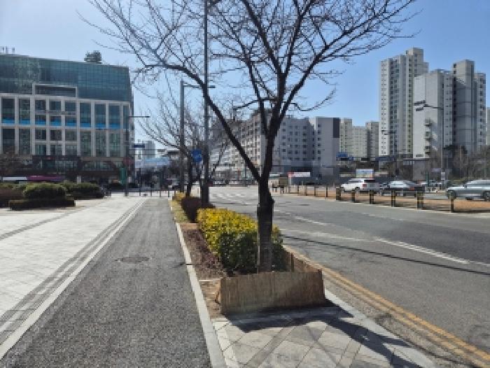 2026타경600248 법원경매 사진7 | 세종 나성동 근린상가 경매