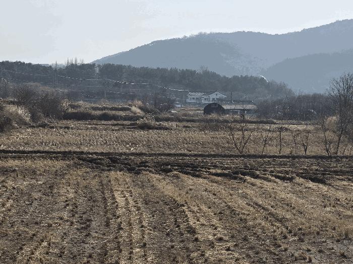 2025타경613 법원경매 사진2 | 경북 경주시 전답 경매