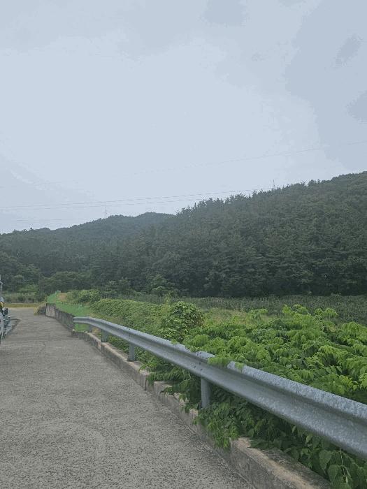 2025타경10600 법원경매 사진2 | 경북 경주시 임야 경매