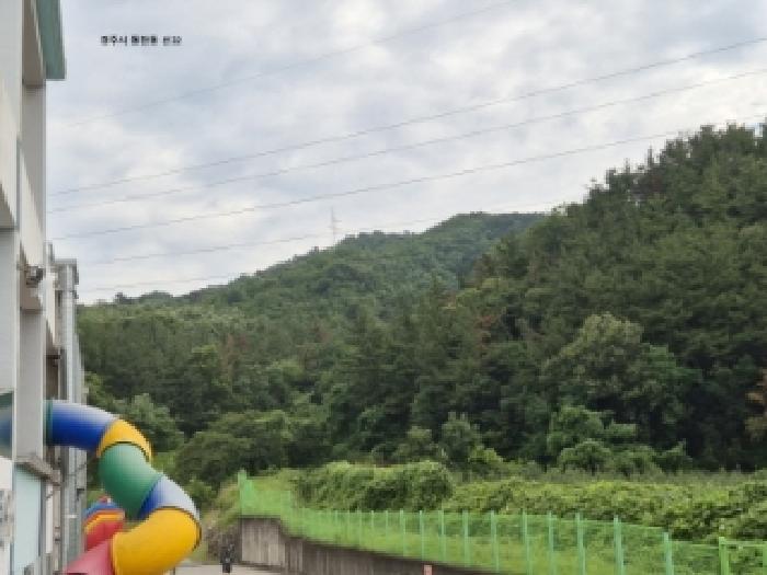 2025타경10600 법원경매 사진5 | 경북 경주시 임야 경매