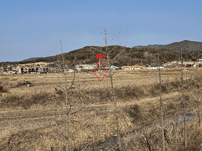 경상북도 경주시 천북면 물천리 541 법원경매 물건 대표사진
