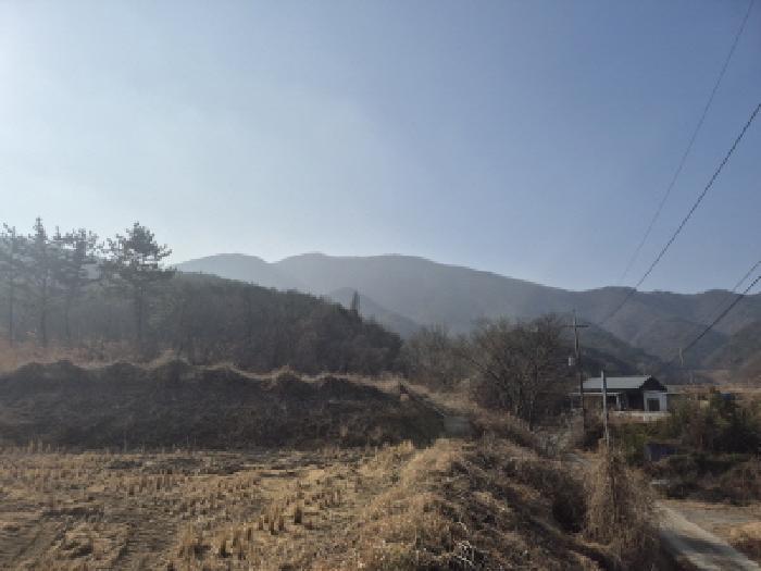 2026타경5 법원경매 사진4 | 경북 경주시 임야 경매
