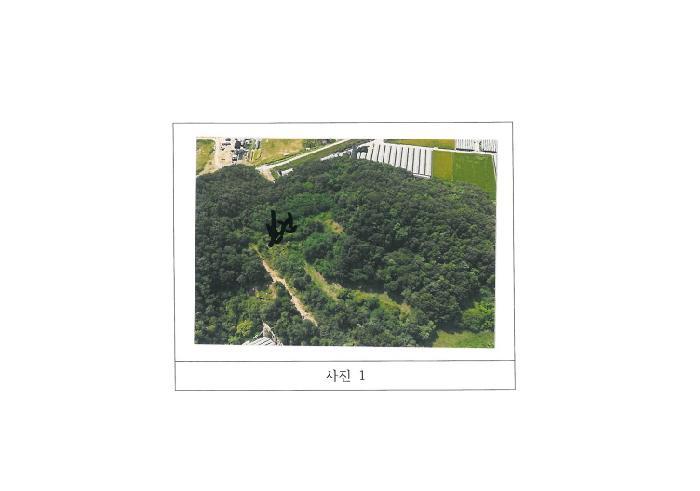 법원경매 2025타경11349 사진6 | 김천시 감천면 도평리 임야 경매