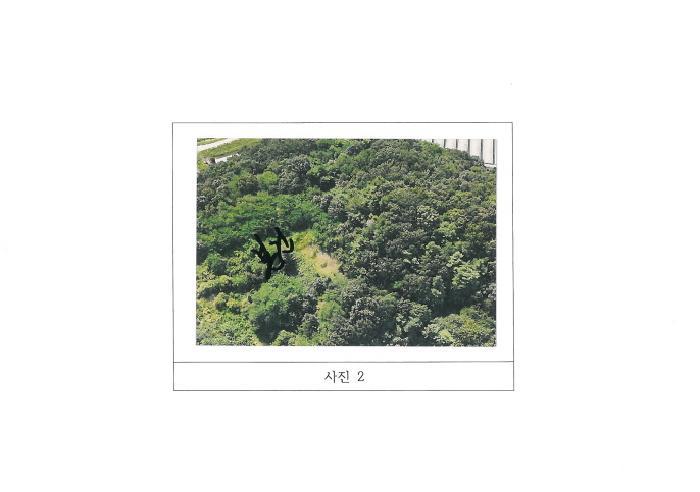 법원경매 2025타경11349 사진7 | 김천시 감천면 도평리 임야 경매