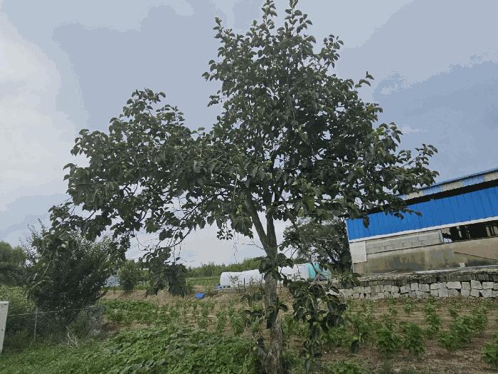 2025타경614 법원경매 사진3 | 경남 김해시 전 경매