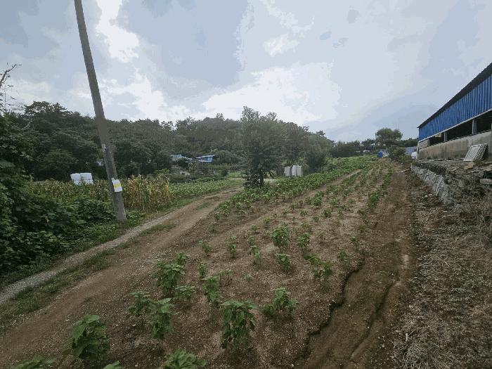 경상남도 창원시 의창구 북면 외산리 835 법원경매 물건 대표사진