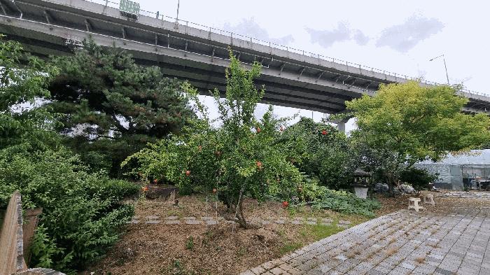 2025타경678 법원경매 사진9 | 경남 김해시 단독주택다가구 경매