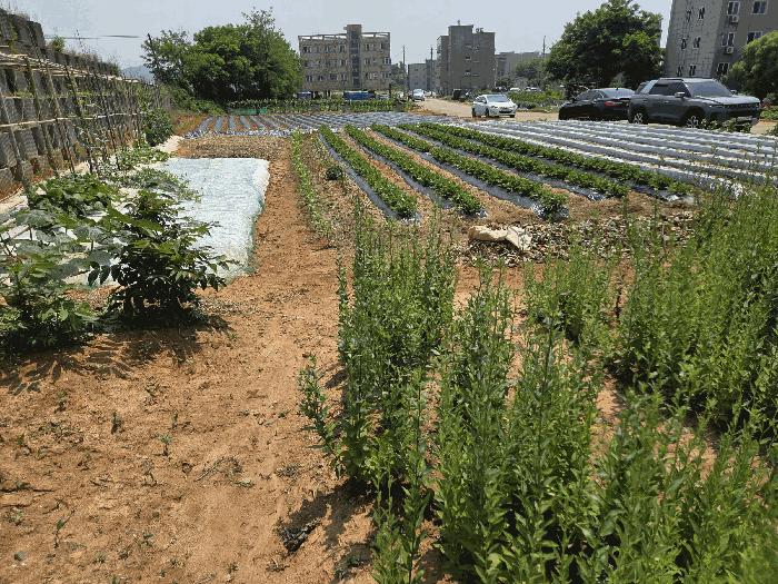 충청남도 당진시 송악읍 고대리 45-42 법원경매 물건 대표사진