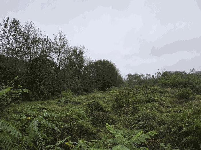 충청남도 당진시 석문면 장고항리 755-3 법원경매 물건 대표사진