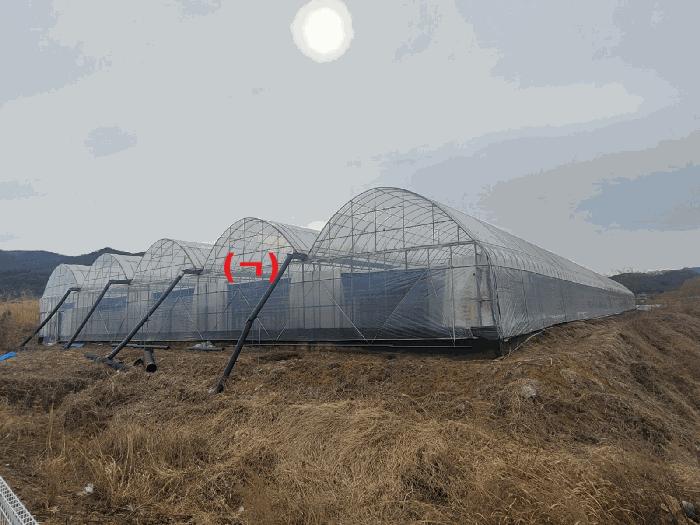 2026타경43 법원경매 사진7 | 경북 성주군 전답 경매