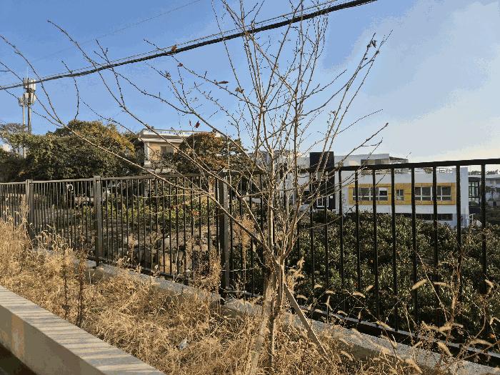 2025타경9263 법원경매 사진5 | 제주 서귀포시 근린시설 경매