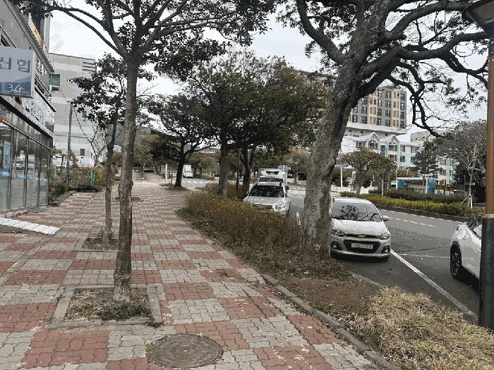 제주 서귀포시 강정동 157-2 삼다오피스텔 8층802호 오피스텔 경매 물건 사진