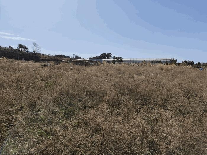 제주 제주시 회천동 1740-1 전 사진 3
