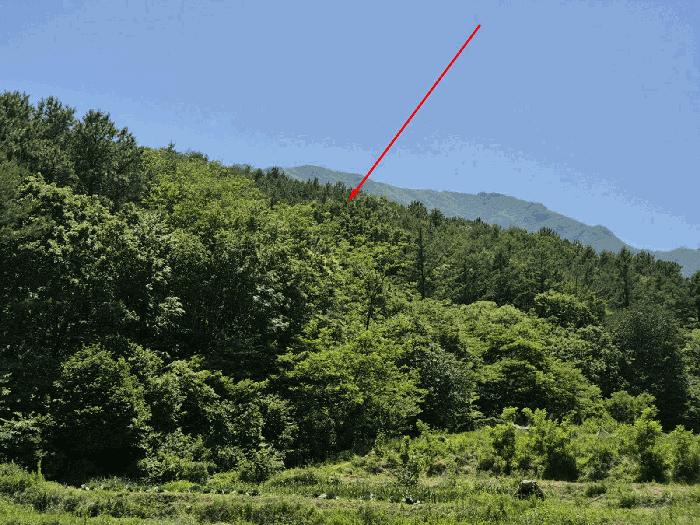 울산광역시 울주군 상북면 천전리 산25-18 법원경매 물건 대표사진