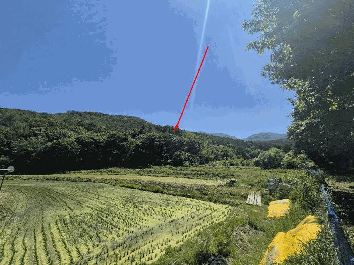 법원경매 2025타경11874 사진2 | 울산 울주군 상북면 임야 경매