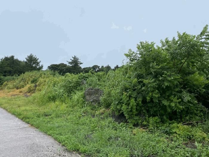 제주 서귀포시 표선면 가시리 3440-13 임야 사진 5