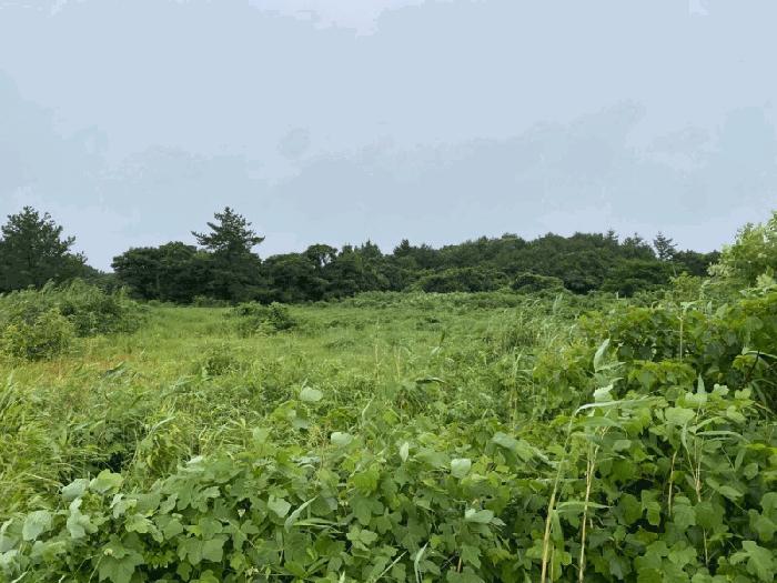 2025타경1518 법원경매 사진6 | 제주 서귀포시 임야 경매