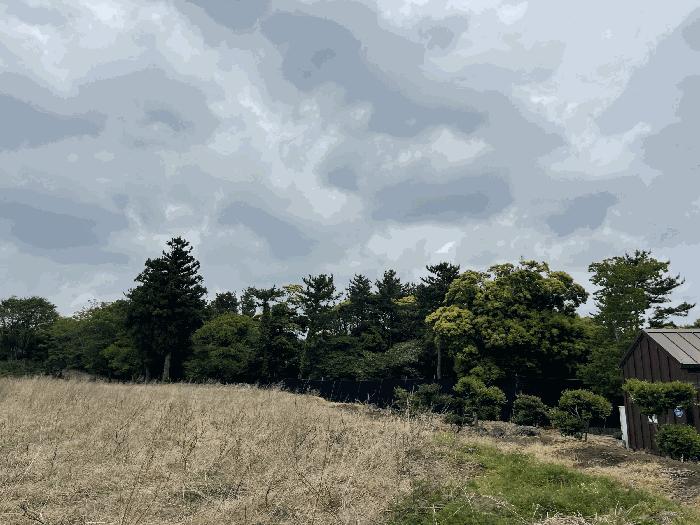제주특별자치도 서귀포시 남원읍 수망리 927-1 법원경매 물건 대표사진