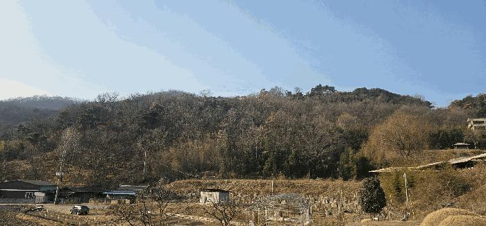 법원경매 2026타경3015 사진3 | 성주군 용암면 근린시설 경매