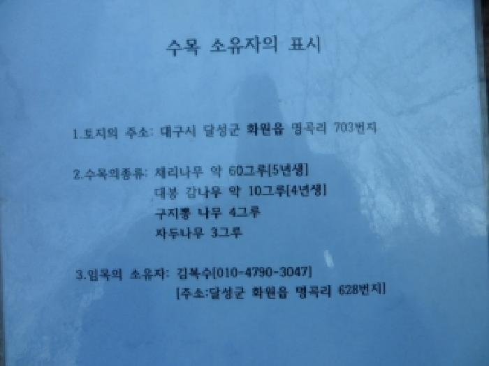 법원경매 2026타경3021 사진10 | 대구 달성군 화원읍 명곡리 703 답 경매