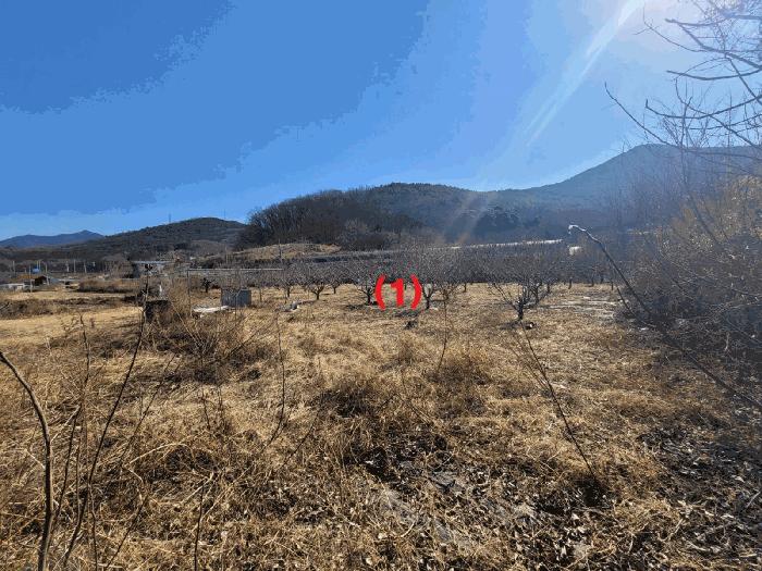 법원경매 2026타경3021 사진2 | 대구 달성군 화원읍 명곡리 703 답 경매