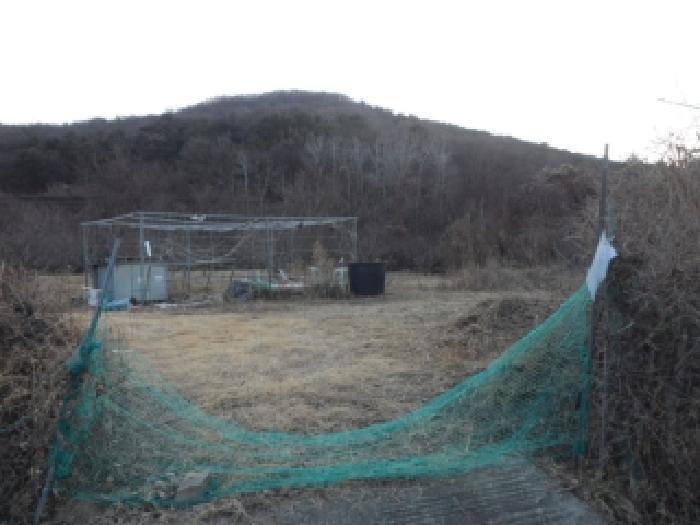 법원경매 2026타경3021 사진7 | 대구 달성군 화원읍 명곡리 703 답 경매