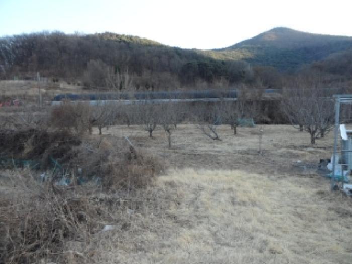 법원경매 2026타경3021 사진8 | 대구 달성군 화원읍 명곡리 703 답 경매