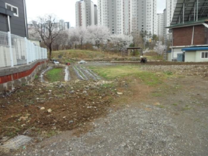 2026타경3123 법원경매 사진10 | 대구 달성군 대지 경매