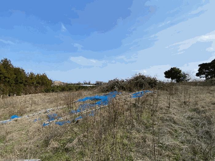 2025타경7667 법원경매 사진5 | 제주 제주시 전 경매
