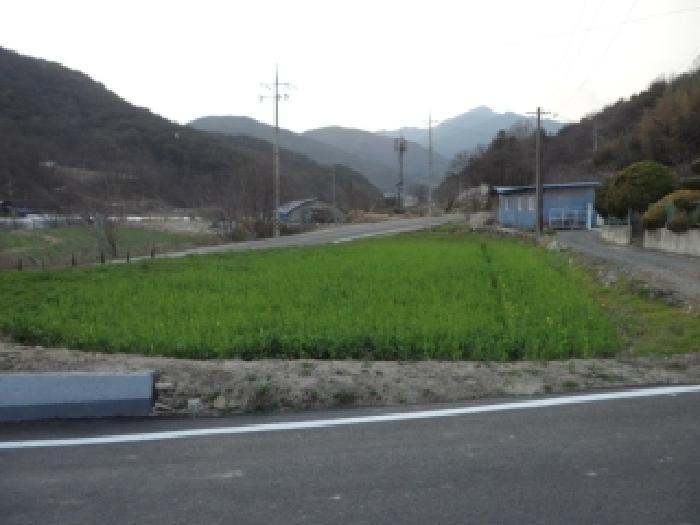 법원경매 2026타경3226 사진4 | 고령군 덕곡면 백리 276 답 경매
