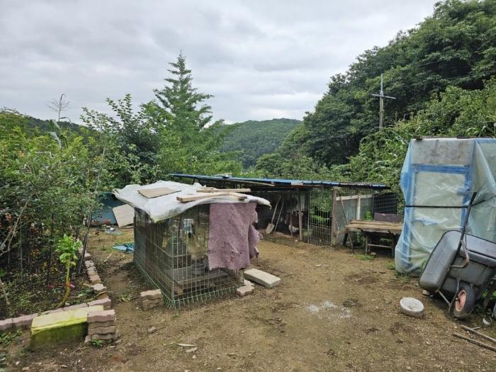 법원경매 2024타경36812 사진9 | 양평군 용문면 오촌리 175-2 전 경매