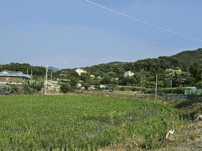 경기도 포천시 군내면 하성북리 564 법원경매 물건 대표사진
