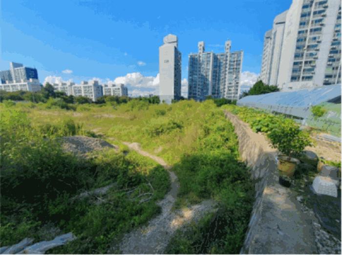 법원경매 2025타경73126 사진7 | 양주시 백석읍 복지리 89-2 전 경매